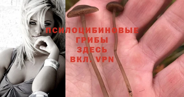 apvp Богданович
