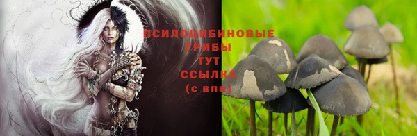 каннабис Богородицк