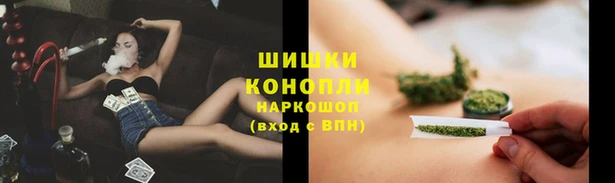 apvp Богданович