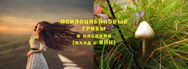 каннабис Богородицк