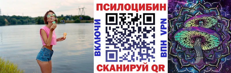 Псилоцибиновые грибы Psilocybe  Купить где  Озёры 